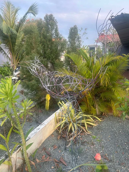 Le Jardin de Mingus 12