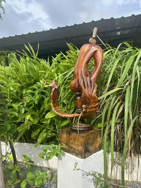 Le Jardin de Mingus 13